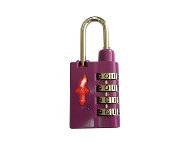 TSA Travel Locks By Safe Skies - K898